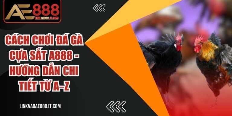 Cách Chơi Đá Gà Cựa Sắt A888