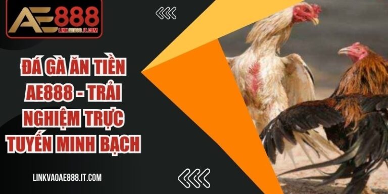 Đá Gà Ăn Tiền AE888