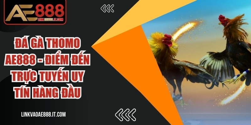 Đá Gà Thomo Ae888
