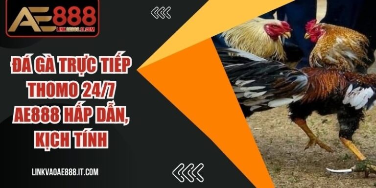 Đá Gà Trực Tiếp Thomo 24/7 AE888