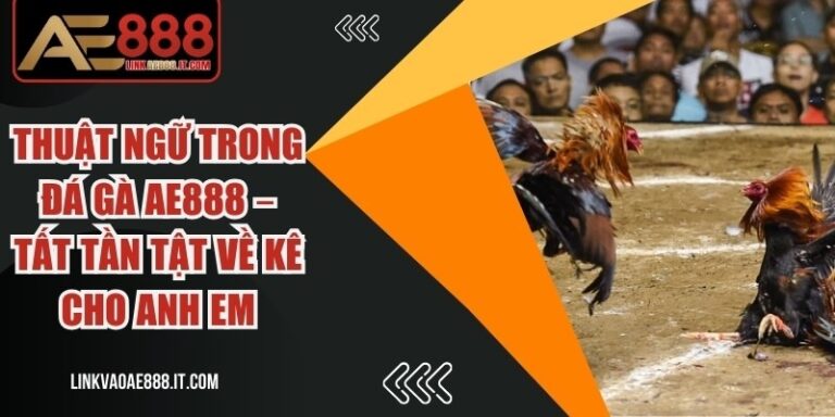 Thuật ngữ trong đá gà AE888