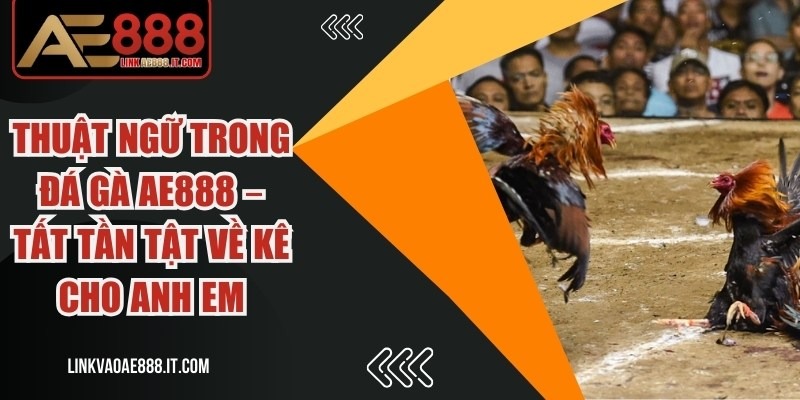 Thuật ngữ trong đá gà AE888